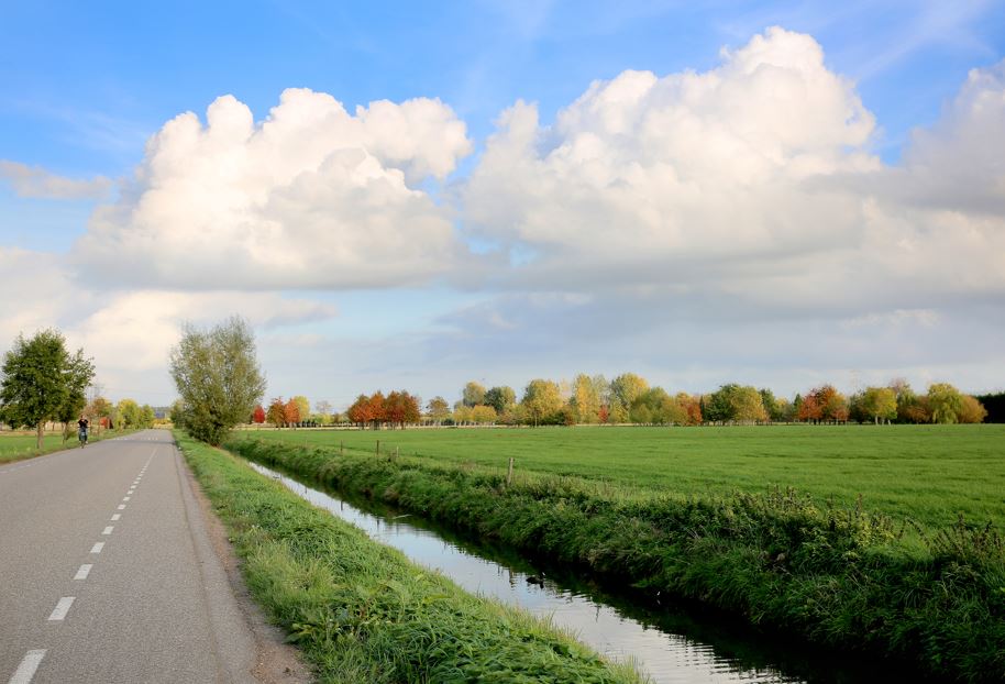 Landschap met bomen in herfstkleuren